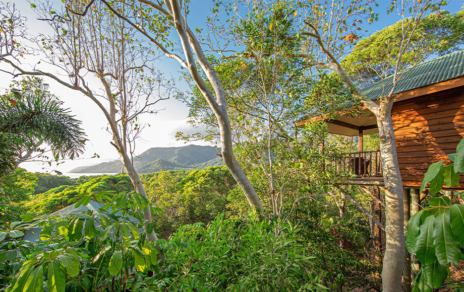 Thala Beach Eucalypt Bungalow