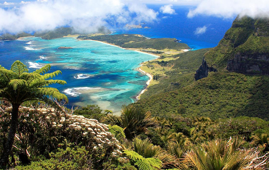 View from Mount Gower at Lord Howe Island