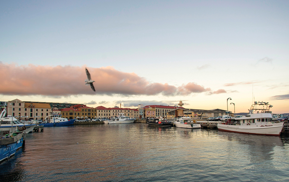 Hobart Waterfront & Docks