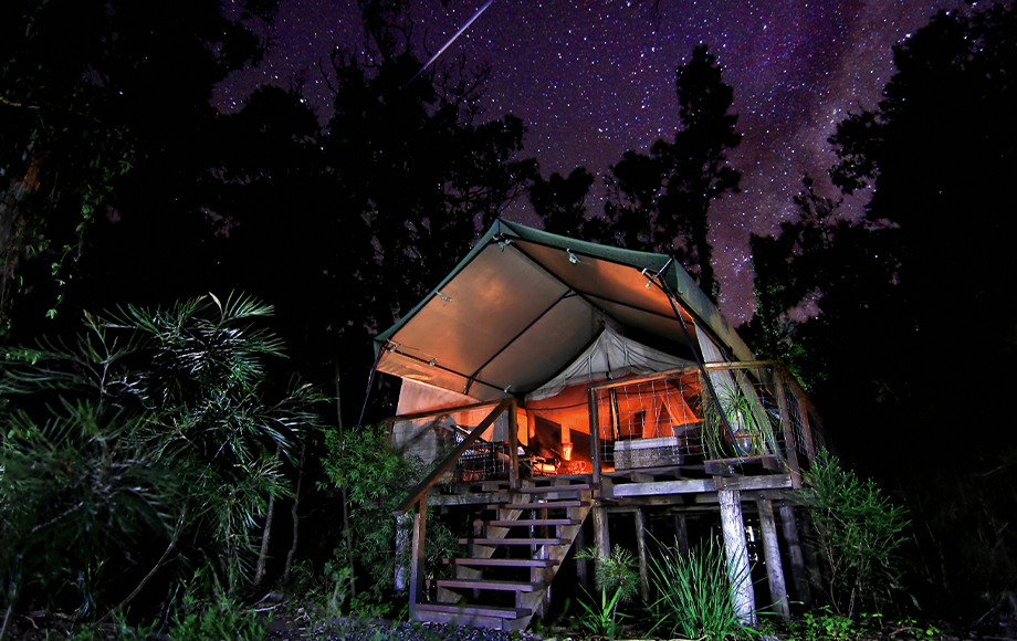 Paperbark Camp Tent at night