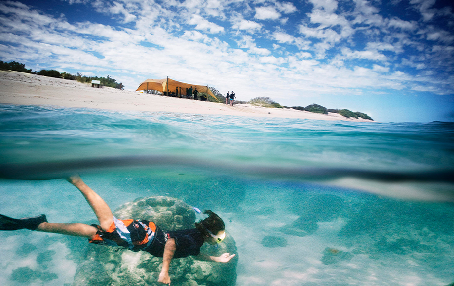 Snorkelling Ningaloo Reef