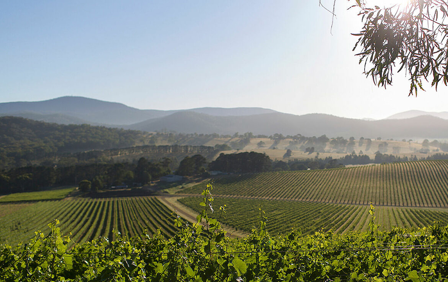The Winery Estate Dixons Creek