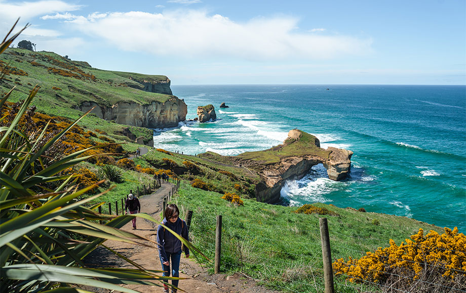 Walking on the cliffs of Dunedin