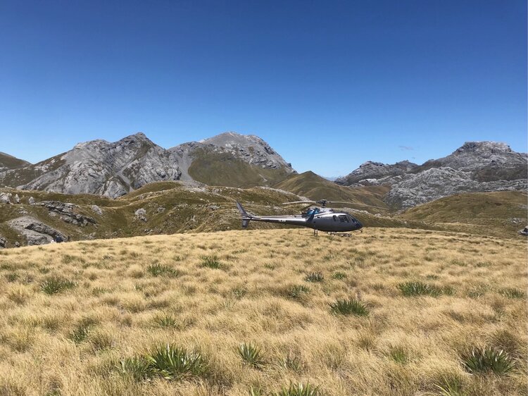 Maruia River Retreat Helicopter flights