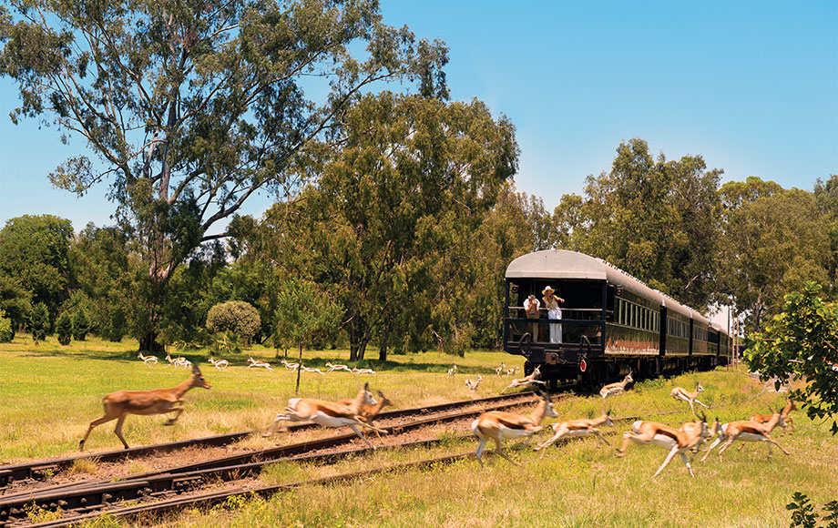 Rovos Rail Journeys in South Africa