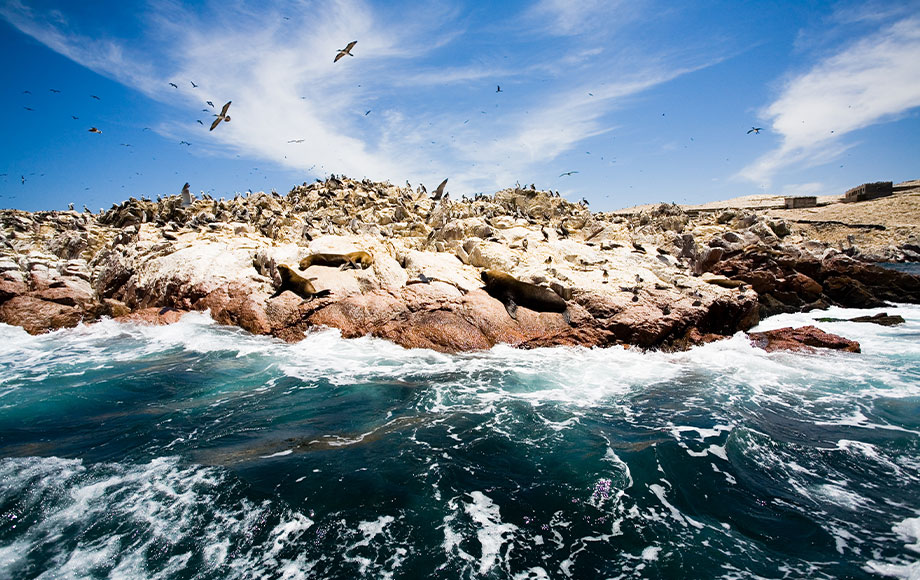 Ballestas Islands