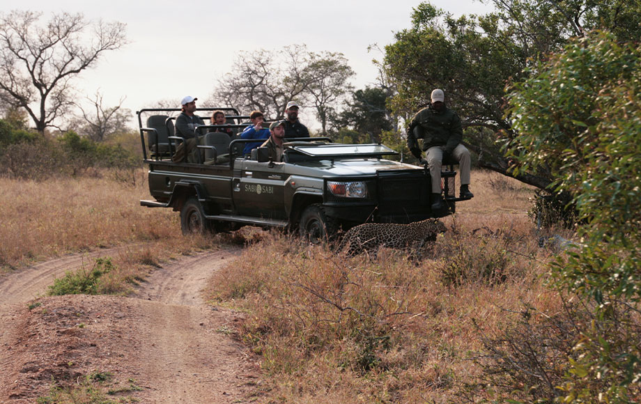 Safari vehicle next to leopard