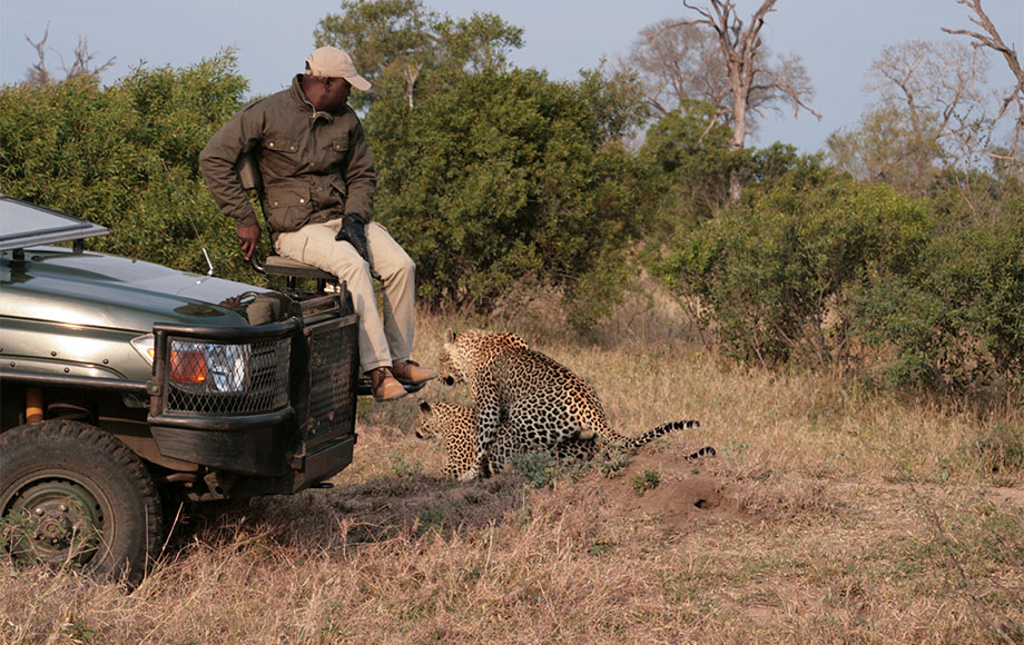Safari guide next to Leopard in Africa
