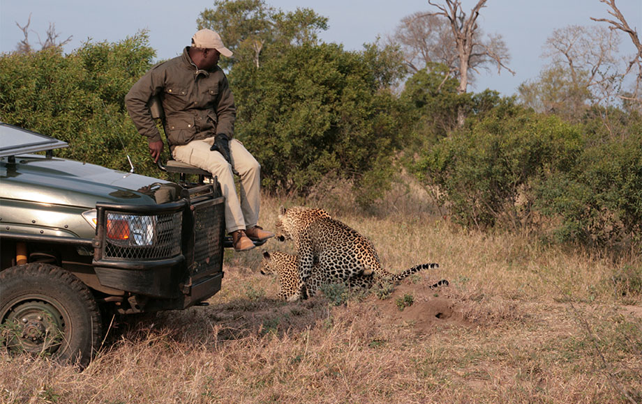 Safari guide next to Leopard in Africa