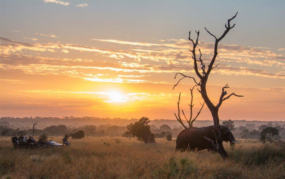 Sabi Sabi Sara Steve Sundowners Sabi Sabi
