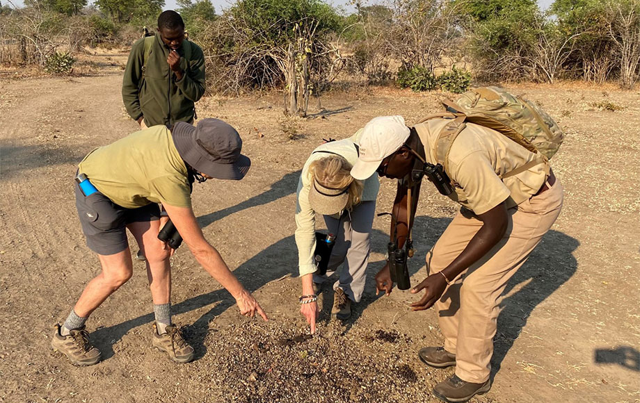 walking safari Zambia