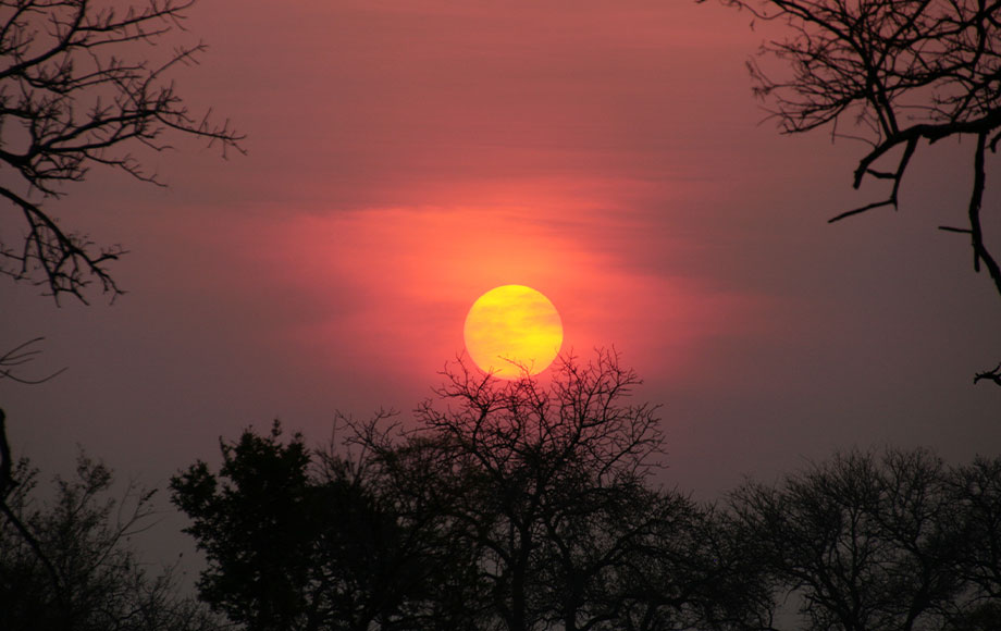Zambia sunsets
