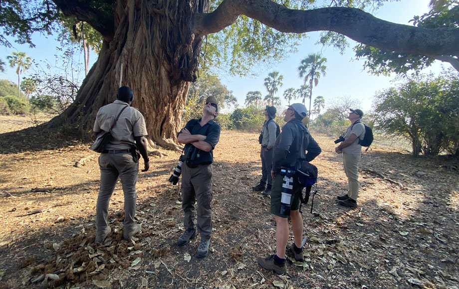 walking safari Zambia