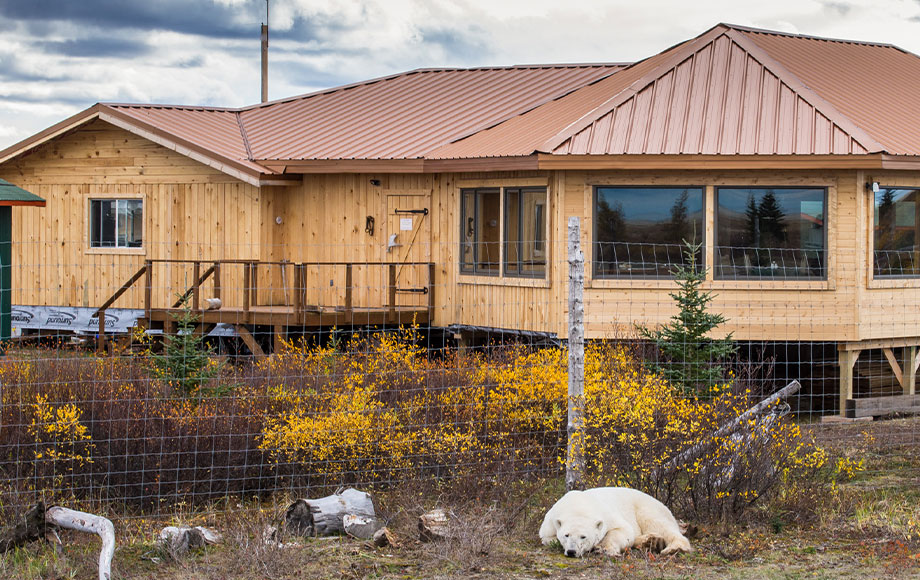 Nanuk Polar Bear Lodge