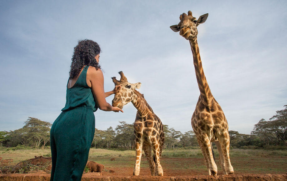 Giraffe Manor