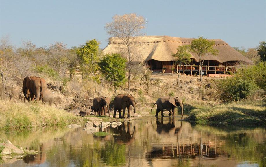 The Wallow Zimbabwe