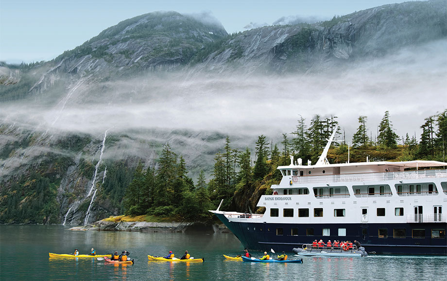 uncruise safari endeavour