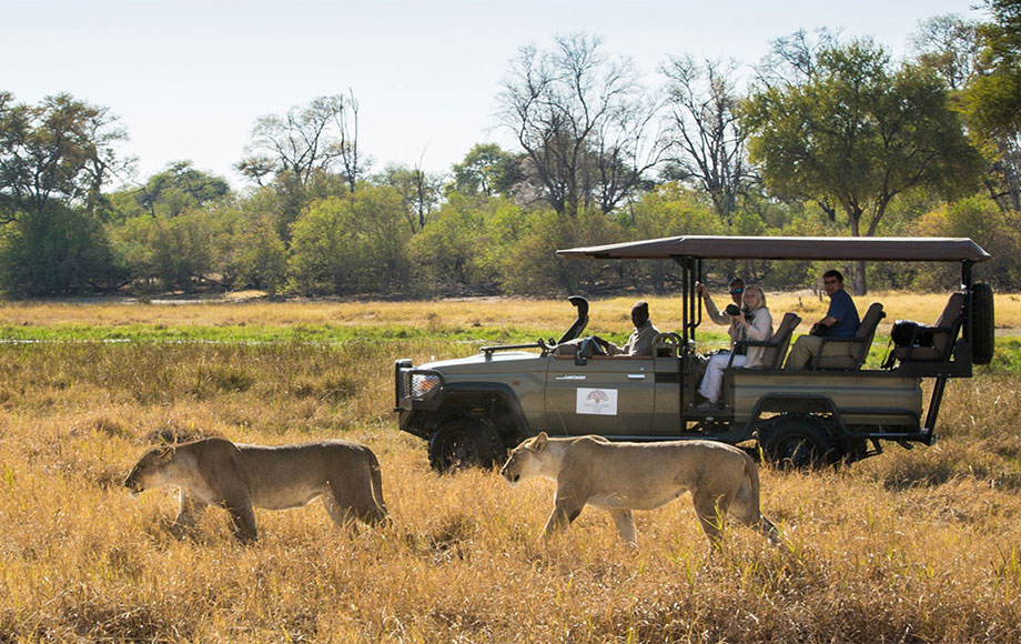 Machaba Camp in Botswana
