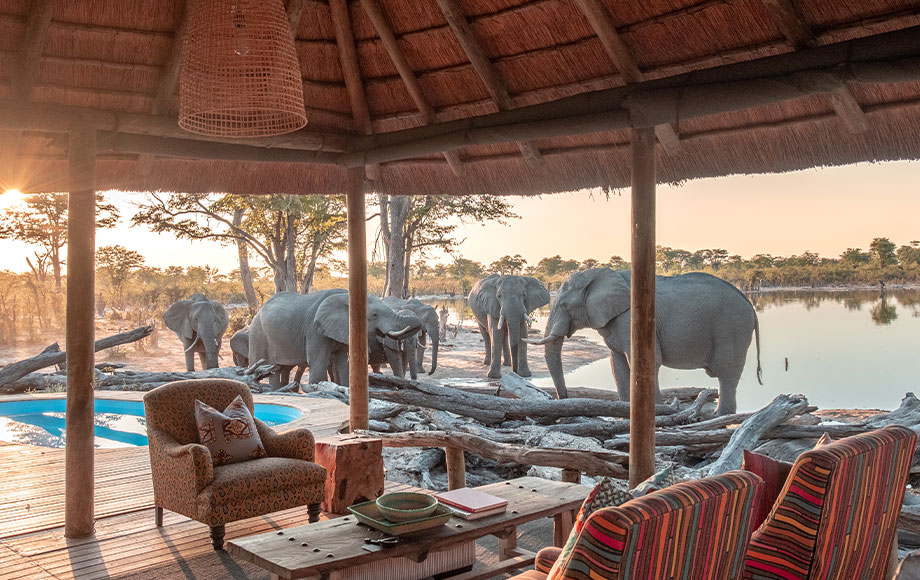Elephant Pan Botswana