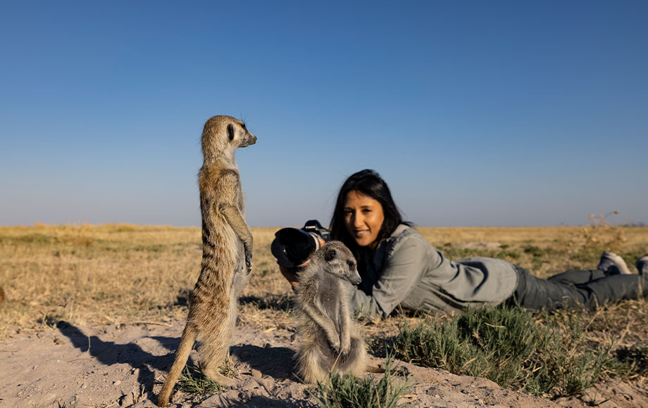 botswana_camp-kalahari_meerkats_02