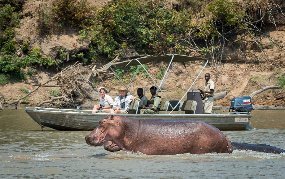 zambia_nsefu-camp_robin-pope_06 Nsefu Camp in Zambia