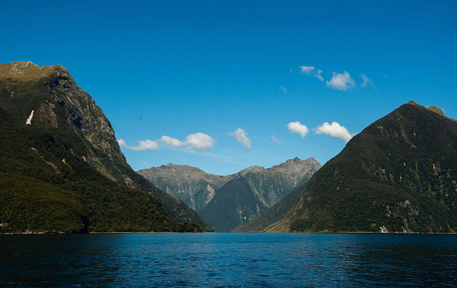 New Zealand's Subantarctic Islands Fjords