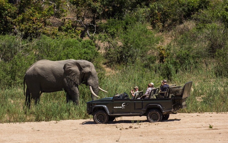 Malamala-Game-drive