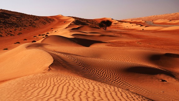 Wabi-Sands
