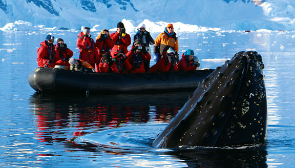 Wildlife Viewing