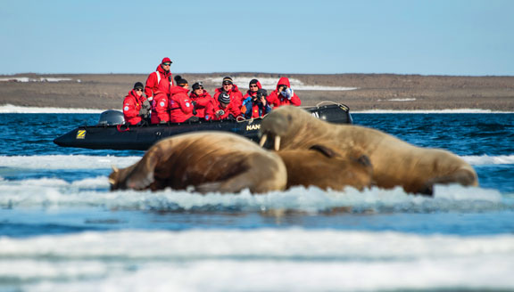 arctic-high-arctic-zodiac