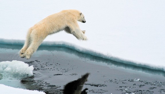 arctic2
