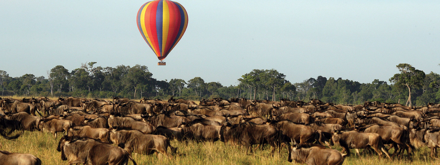 Ballooing in Africa