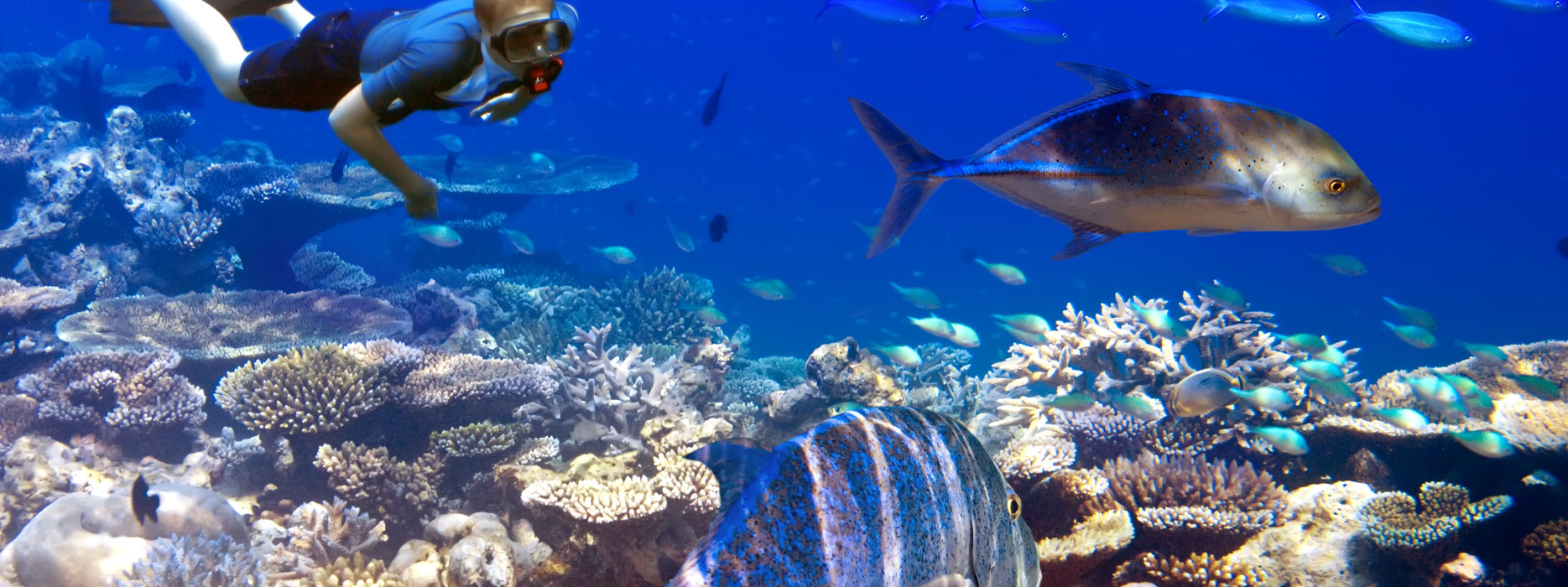 Snorkeling Mauritius