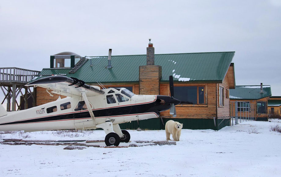 churchill-wild-dymond Polar bear viewing at Churchill Wild Dymond