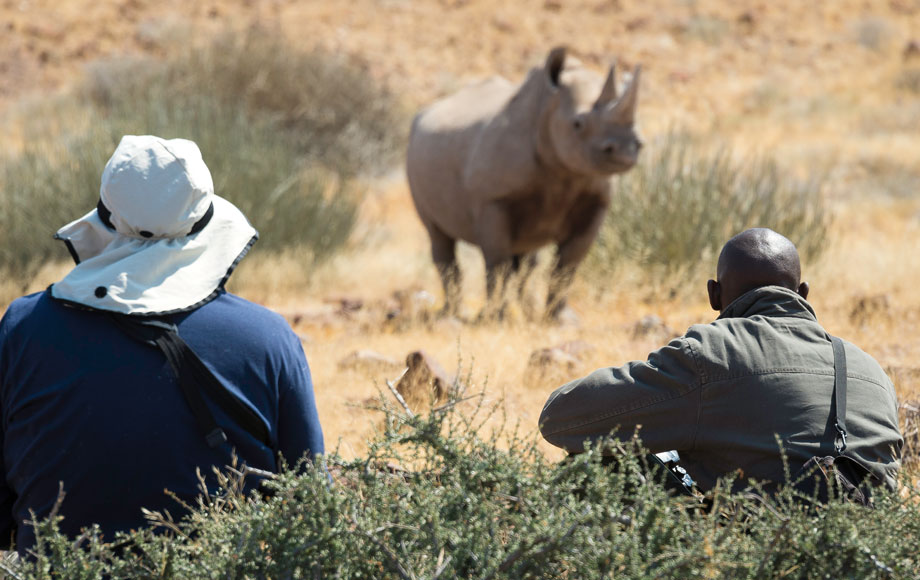 Rhino Sighting