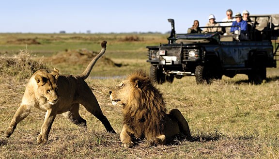 destination-africa