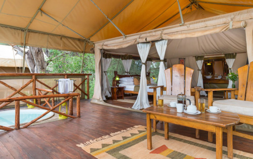 Elephant Bedroom Camp in Kenya