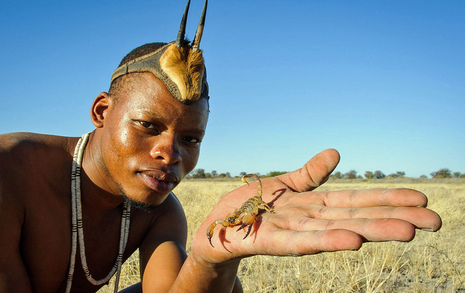 Bushman in the Kalahari with a scorpian