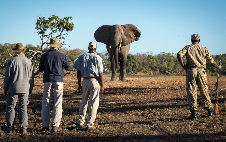 Walking Safari at Kapamba Camp