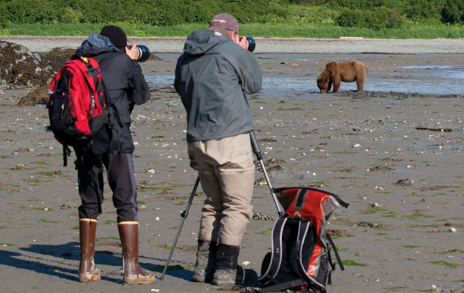 Photographers and Grizzly Bear in Alaska