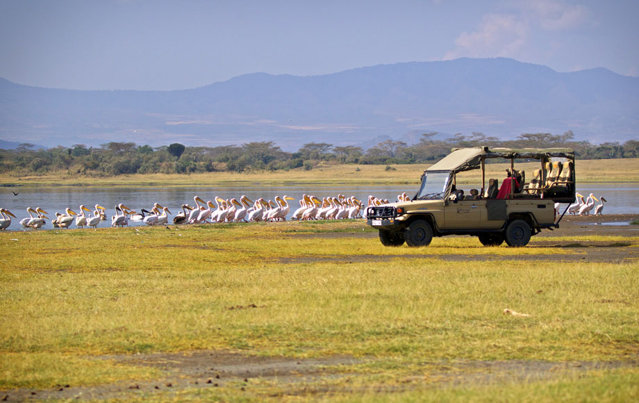 Safari Game drive during a Family Safari in Africa