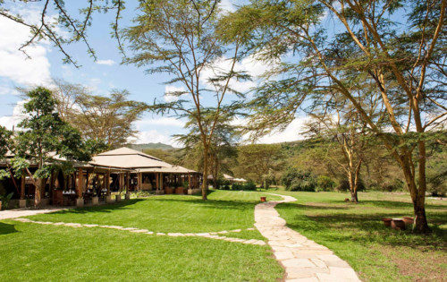 Aurari Camp  Luxury boutique hotel in Serengeti National Park