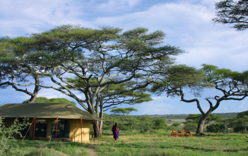 Rustic Lemala Ndutu in Tanzania