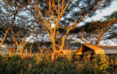 Tent at Luxury Lemala Ngorongoro in Tanzania