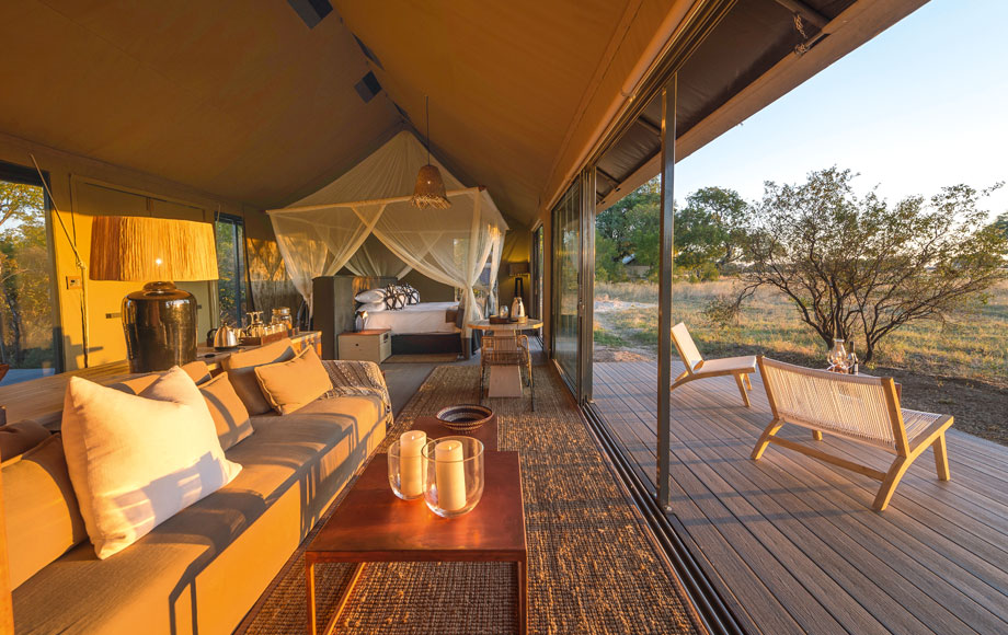 Luxury Linkwasha Camp in Hwange National Park, Zimbabwe