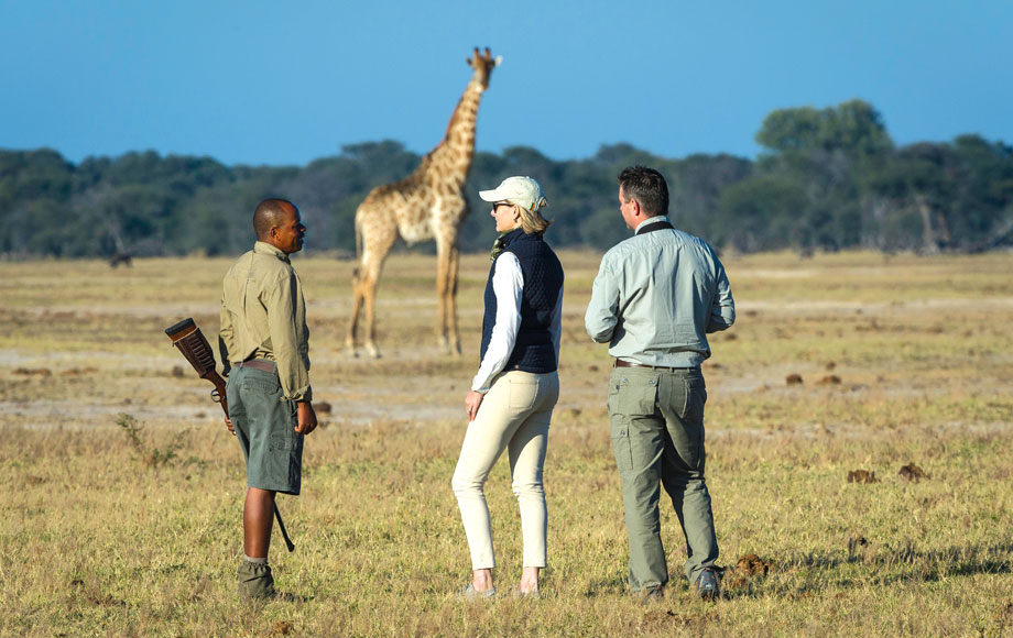 Walking safari at Luxury Linkwasha Camp in Hwange National Park, Zimbabwe