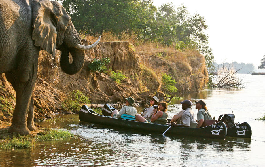 Mocoro excursion at Mana Pools in Zimbabwe