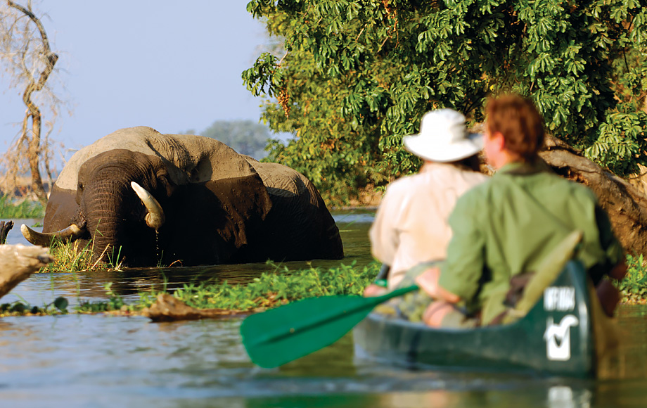 Canoeing at Mana Pools