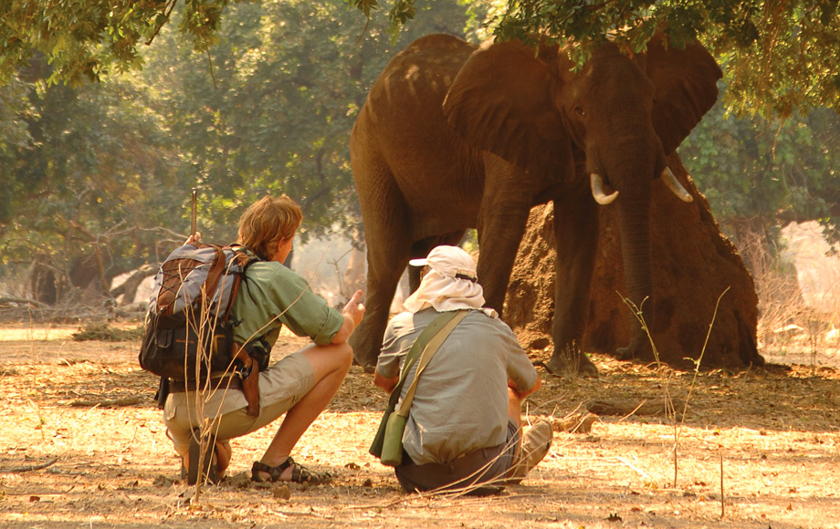 Mana Pools Walking Safaris