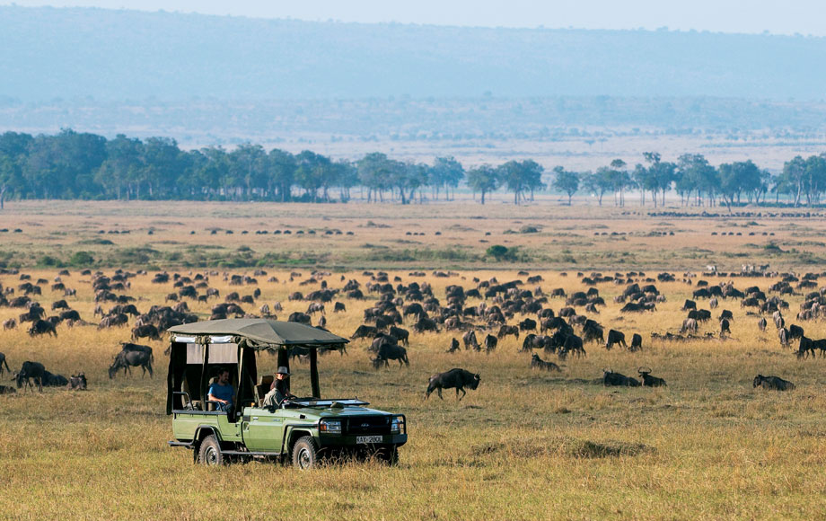 Wildebeest Migration at Mara Expeditions Camp